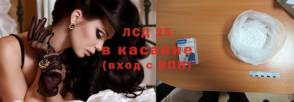 гашик Зерноград