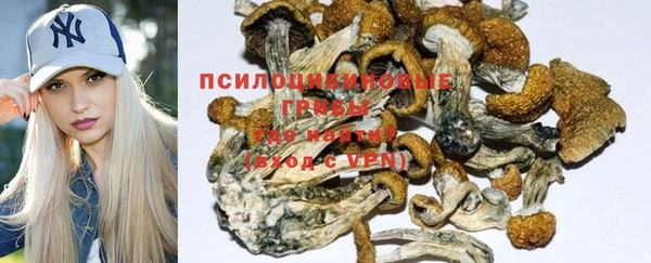 молекула духа Алзамай