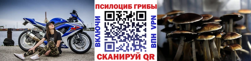 Псилоцибиновые грибы MAGIC MUSHROOMS  блэк спрут как войти  Красногорск  дарнет шоп 