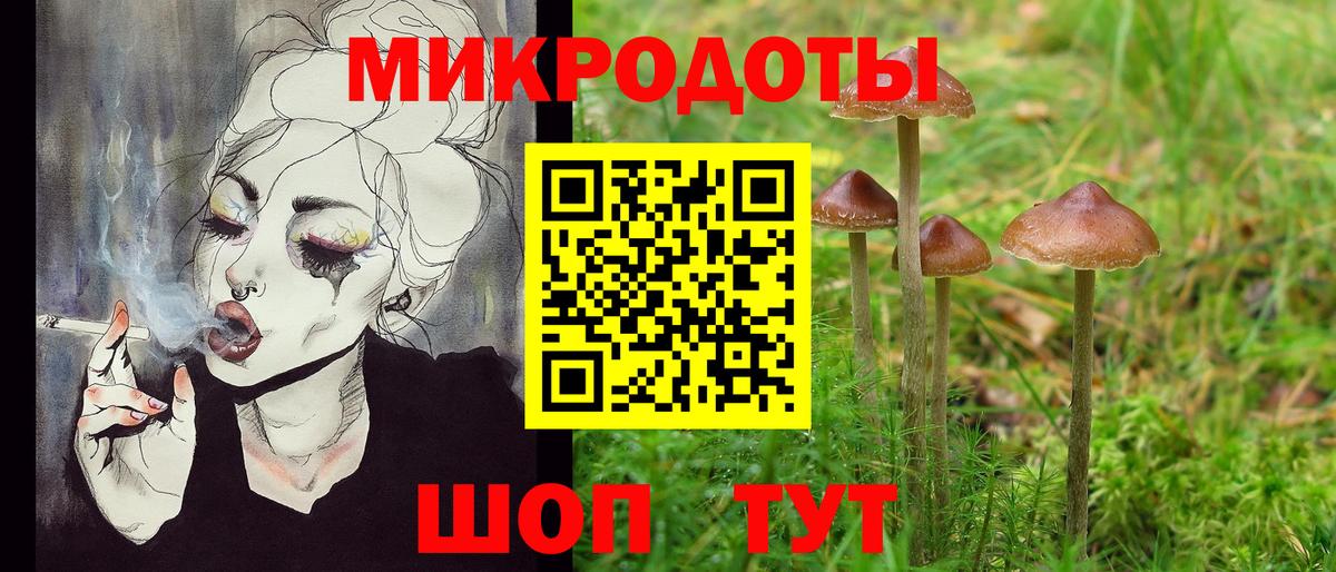 Красногорск  Псилоцибиновые грибы MAGIC MUSHROOMS  Вход с VPN 